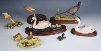 Border Fine Arts bird figures including pheasant, swan with cygnets, kingfishers etc., some by