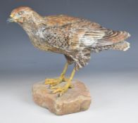Sallie Wakley (b1967) studio pottery figure of a buzzard, on stone plinth, height 33cm
