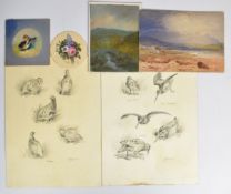 W H Austin (Royal Worcester artist) watercolour miniature of roses and four unsigned studies of