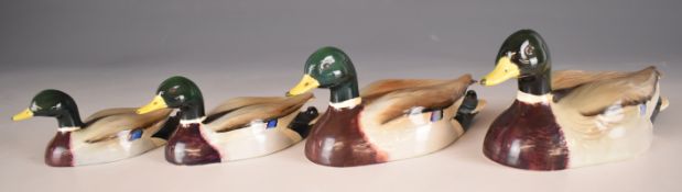 Sir Peter Scott for Beswick set of four graduated mallard ducks, models 1518-1, 2, 3 and 4,
