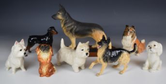 Eight larger Beswick dog figures including Connoisseur Alsatian / German Shepherd, Doberman, Scottie