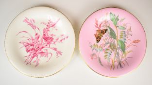 Two 19thC Copeland cabinet plates with butterfly and foliage decoration, with Worlock collection