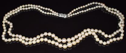 A double strand of cultured pearls with 10k white gold clasp, 50cm, in original Exquisite box