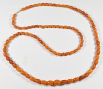 Baltic amber necklace made up of 94 graduated oval beads, the largest 11.6 x 14.7mm and smallest 6 x