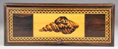 Tunbridgeware glove or similar box, with decorative borders and shell to lid, length 23cm