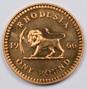 1966 Rhodesia 22ct £1 gold coin, 8.0g, in original Bank of Rhodesia box