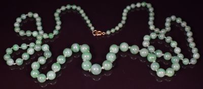 A strand of jadeite beads with 9ct gold clasp, the largest bead 10mm and the smallest bead 4.2mm,
