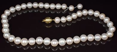 A single strand of 45 cultured pearls, the 14k gold clasp set with diamonds (necklace needs re-