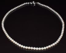 Mikimoto single strand of cultured pearls, the silver clasp set with a further pearl and marked M in