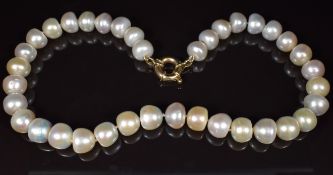 A single strand of cultured pearls with 9ct gold clasp, each pearl approximately 12mm, 44cm