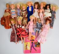 Fourteen vintage Sindy dolls and similar by Pedigree and others.