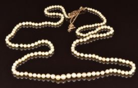 A single strand of cultured pearls with 9ct gold clasp, 9.1g, 62cm