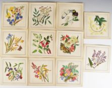 Eleven 19thC watercolours on rice paper of flowers, some with annotations verso, approximately 12