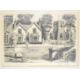 James Priddey (1916-1980) three signed etchings 'Waterloo Street' and 'Paradise Street' both - Image 4 of 5