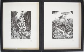 John Nash (1893-1977) pair of wood engravings; poisonous plants 'Water Hemlock' and 'Foxglove', with