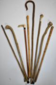 A collection of walking sticks including carved examples, deer horn handled etc, tallest 115cm