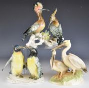 Karl Ens porcelain bird figures comprising a pair of hoopoes, pair of penguins and a Keramos pair of