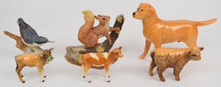 Beswick Guernsey, Jersey and Highland calves and a Labrador, together with two Wedgwood figures