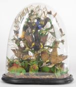 Victorian taxidermy exotic bird study including hummingbirds and flycatchers, under a glass dome,