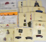 Approximately 100 Officer Training Corps school and college Combined Cadet Force badges and insignia