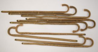 Ten ash walking sticks, each approximately 95cm long.