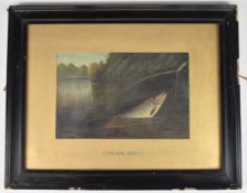 A. Roland Knight (1879-1921) study of a fish being brought into a landing net, signed lower left,