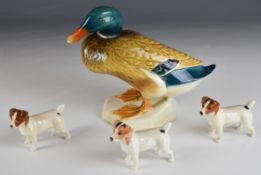 Beswick figure of a Mallard no 817 and three Jack Russell figures, tallest 17cm