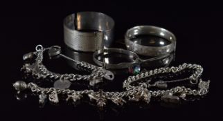 Two silver charm bracelets with twenty charms including Concorde, polo pony, dog, fish etc (102g),