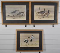 Bryan M. Conway, three watercolours of Curlew, Graylag geese and Shelduck in flight, 25 x 35cm in
