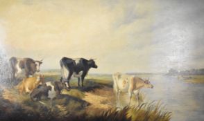 Large oil on canvas, group of cattle gathered on a riverbank, 76 x 127cm