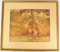 Attributed to Robert Hills (British, 1769-1844) watercolour study of a stag standing in water with