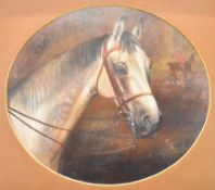 Oil on board of a grey horse with huntsman and hound beyond, in oval mount, 42 x 48cm