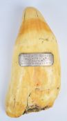 Scrimshaw whale's tooth with carved engraving of ship, whale and Hull to one side, with silver