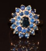A 9ct gold ring set with a cluster of sapphires, 5.5g, size N
