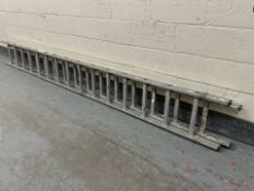 A set of Youngman Trade 350 aluminium extension ladders