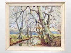 Danish School : Stream running between trees in autumn, oil on canvas,