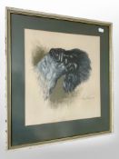 Rex Flood : Dog portrait, colour chalks, 34cm x 30cm, signed and dated 1970.