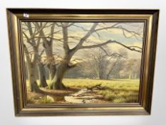 Danish School : A view across a glade, oil on canvas, 95cm x 68cm.