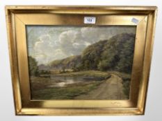 19th Century Continental School : A path around a lake, oil on canvas, 38cm x 28cm.