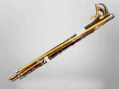 A group of late Victorian walking sticks including Blackthorn example, horn-handled example,