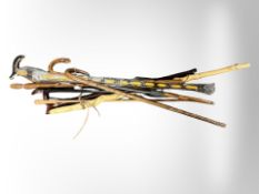 A bundle of modern walking sticks, staff, etc.