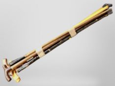 A bundle of walking sticks