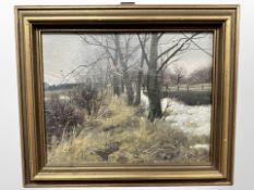 Danish school : Trees by a field, oil on canvas, 34cm x 27cm.