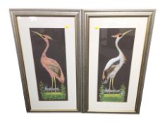 Contemporary school : Herons, mixed media with feathers, watercolour and collage, each 55cm x 22cm.