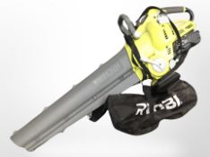 A Ryobi garden leaf blower