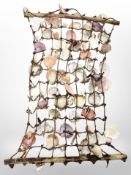 A hanging montage of sea shells