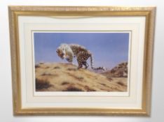 After Duncan Hodge : Cheetah, limited edition print, signed in pencil and number 386 of 550,