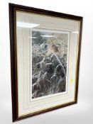 After Steven Townsend : Robin, limited edition colour print, signed in pencil and numbered 41/400,