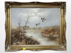 Hirschfeld : Ducks in flight, oil on canvas,