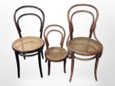 Three bentwood chairs